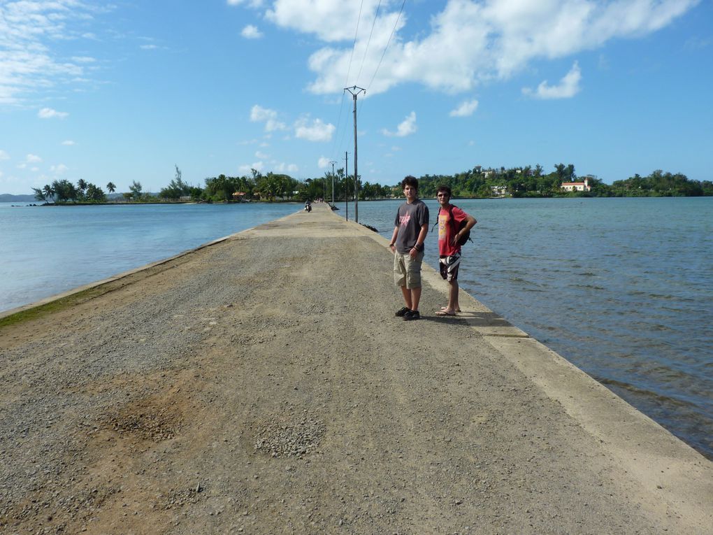 L'île de Sainte-Marie, ses baleines, ses histoires de Pirates, ses cocotiers...