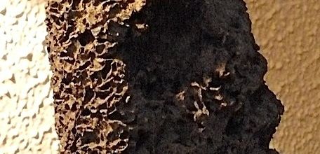 Antiquités : fétiche "nid de fourmis"