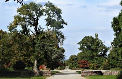 Parc de Schoppenwihr - Bennwihr - Alsace 