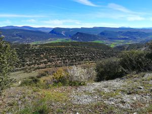 Mirador de Retuerta