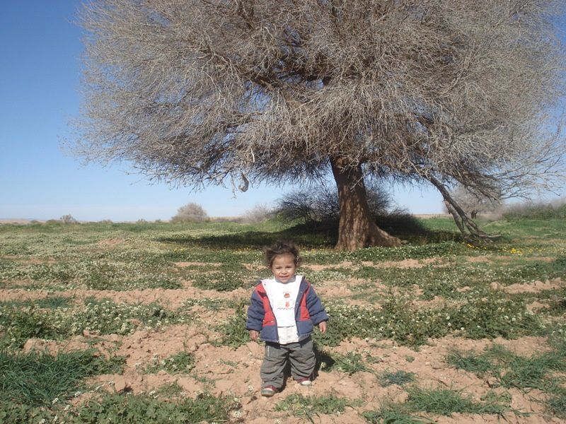 UN TRÈS BEAU JARDIN ,CELUI DE NOTRE AMI MUSTAPHA. FÉLICITATIONS ET BRAVO POUR VOTRE BON GOUT.