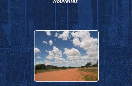 LECTURE ET COMMENTAIRES du recueil de nouvelles "Des bleus au ciel"