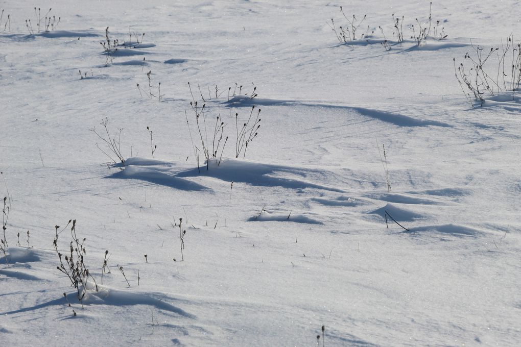 Neige, neige blanche..