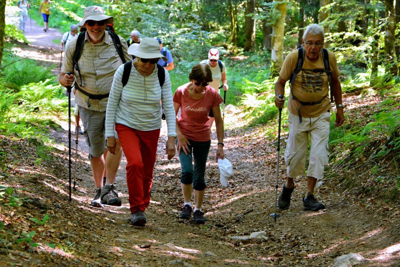 Marche de printemps à Gérardmer - le 19 juin 2022