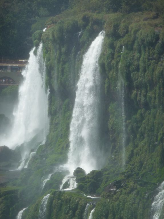 Album - 45.De Puerto Iguazu à Rio (Bresil-janv.)