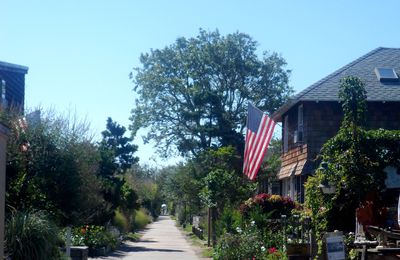 Fire Island