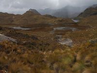 Parc national Cajas perdu dans les nuages à 4167m