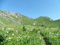 Toujours sous les rochers qui prolongent Chauriande, les premiers contreforts de l'Arclozan et l'arrivée au dessus de la combe d'où l'on voit le Crêt des Mouches.