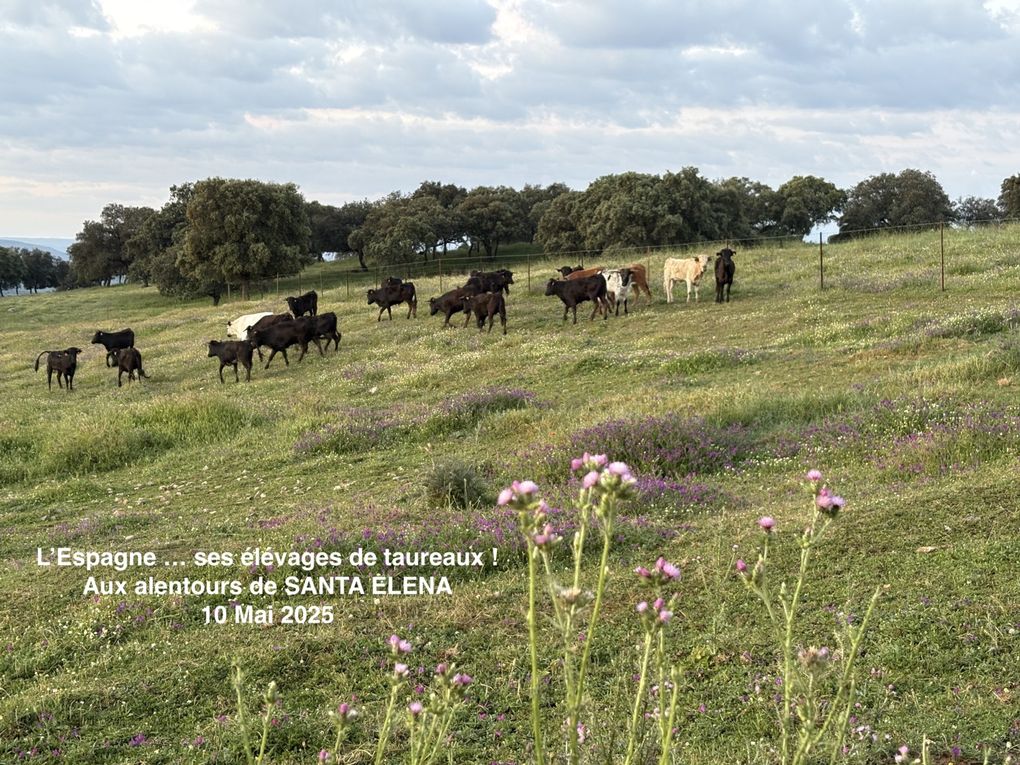 TRANS ESPANA 2025_27 AVRIL-14 MAI_1080KM_14000D+