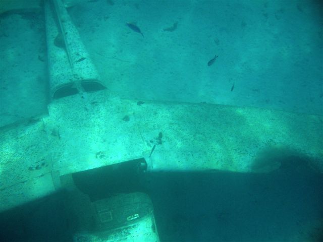 Un dimanche ensoleillé passé en compagnie de Fabien, Sophie, Linda, Stéphane et Salma ... à la rencontre des baleines.