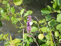 Une petite sélection de photos prises pour vous !