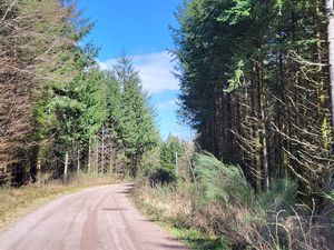 Autour du Parc éolien de Belfays