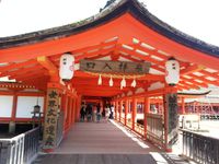 Miyajima : au pays des bambis