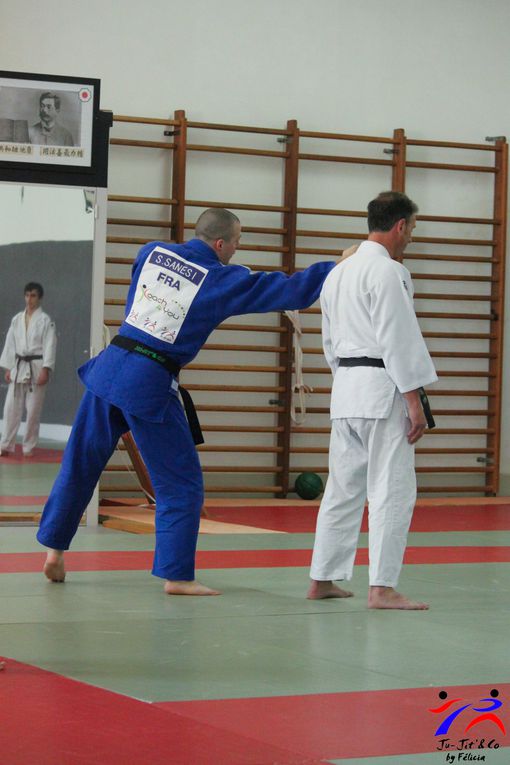 Jujitsu combat 06 2013 avec Sébastien Sanési organisé comme d'habitude par Ludo et Fred