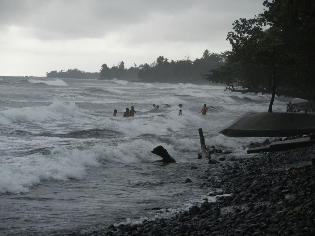 Limbé et ses plages, son parc botanique, son centre de la faune, son activité. Buea base pour le Mont Cameroun et le pont M'Fundi base pour le Nigeria