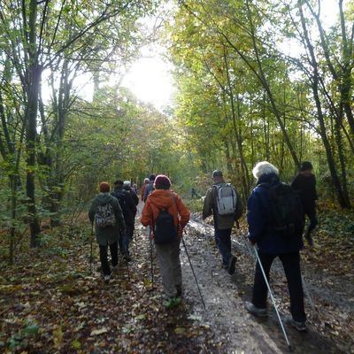 Marche nordique au bois de Vincennes. 7,5 km