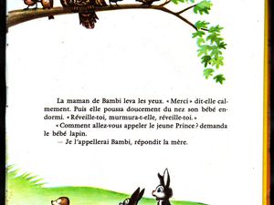 Bambi Raconté par Claude Nicot et Anna Gaylor