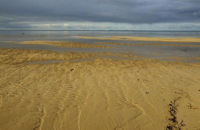 Marée basse à Poé