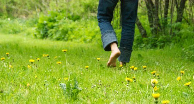 La santé par les plantes, le 24 juillet 2015