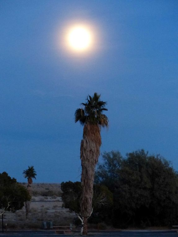 Los Padres, Malibu, Mojave, Joshua, Los Angeles