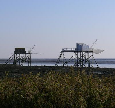 Découverte de l'île Madame