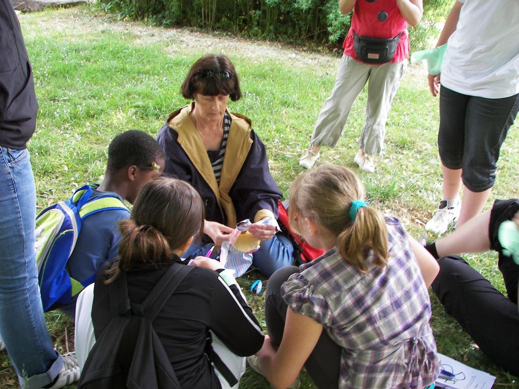 Album - Taize-mai-2011