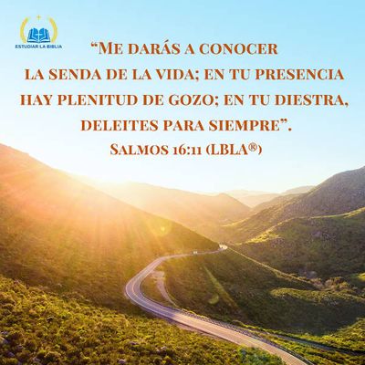 Evangelio de hoy sábado 1 de septiembre de 2018 |Salmos 16:11