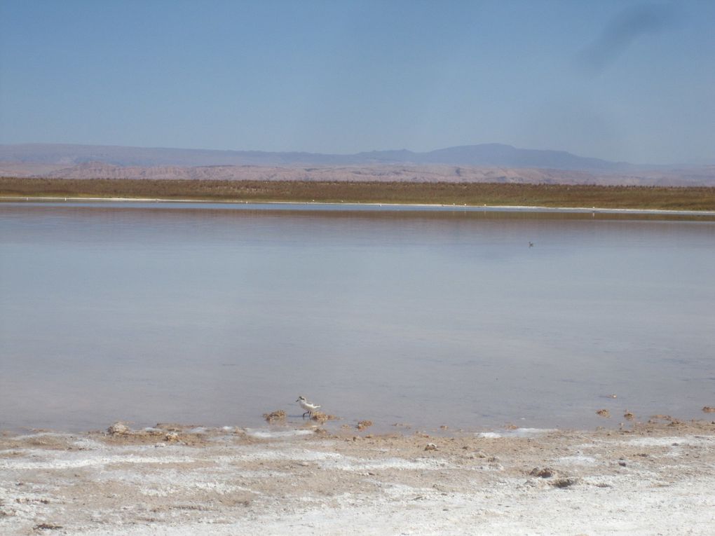 Album - Atacama