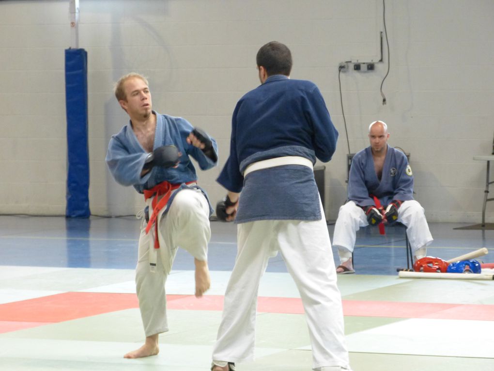 1ere partie des photos de la compétition de Nihon Budo du 10 mai 2015 au gymnase des droits de l'Homme à Guyancourt.