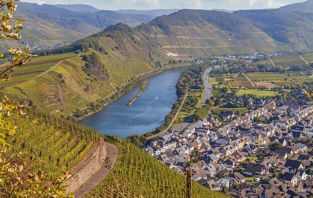 Le marché des croisières fluviales sur la Moselle.