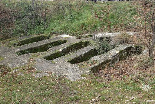 2015-12-17-Camemberts
