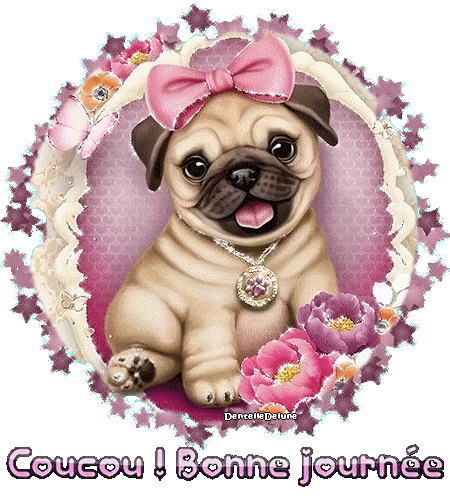 Coucou - Bonne journée - petite chienne Bouledogue Français - gif animé scintillant