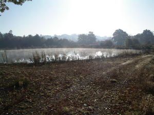 rando VTT à La Chapelle sur Erdre (44)