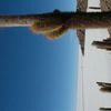 Salar de Uyuni : le désert de sel