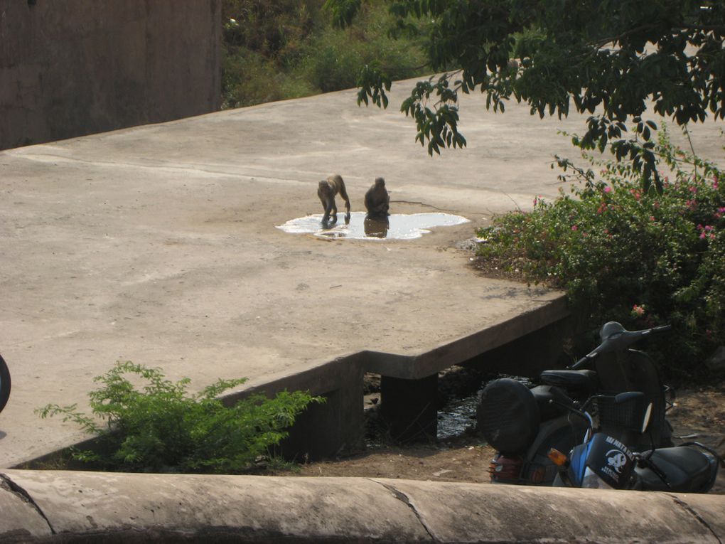 Album - Inde, Agra