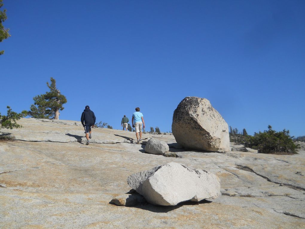 Album - J13 - Yosemite Park, au pays des ours !