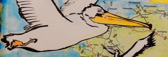 oiseaux de passage - remember the flight