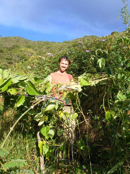 Album - Ecuador