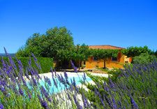 For a wonderful holiday in the #Luberon ... Visit our website