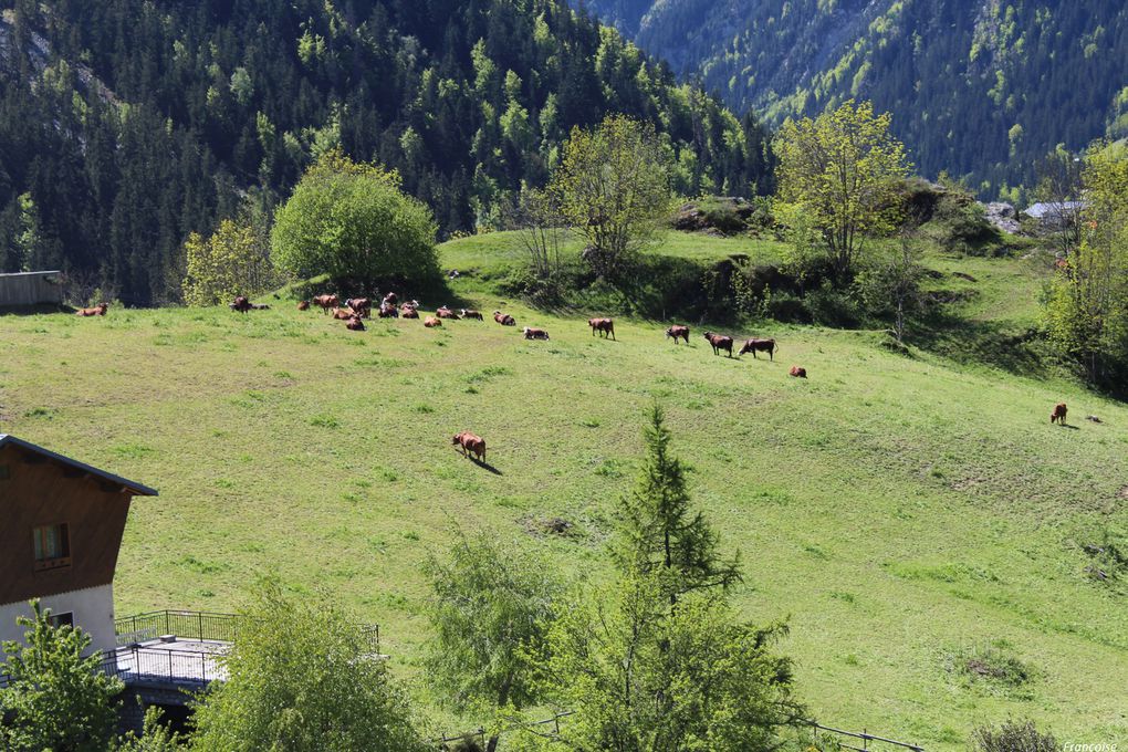 Album - CHAMPAGNY