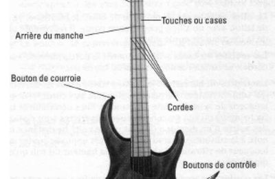 2. BASSE - MAIN GAUCHE - MAIN DROITE