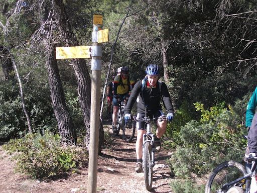 VTT 2010