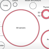 Health Effects of 9/11 Still Plague Responders and Survivors
