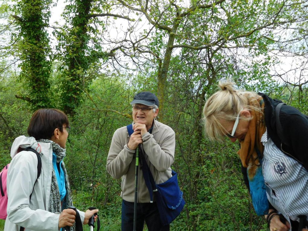 suite du parcours par l'ancienne voie ferrée sous l'oeil attentif de notre guide Yves Archer. Le temps a viré au beau et il commence à faire chaud