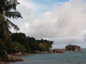 Praslin (Seychelles)-2019-