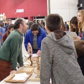 Quelle formation sont à suivre ? - Le blog de Séguié christian