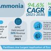 How Does Green Ammonia Help in Attaining Binding Target of Net Zero?