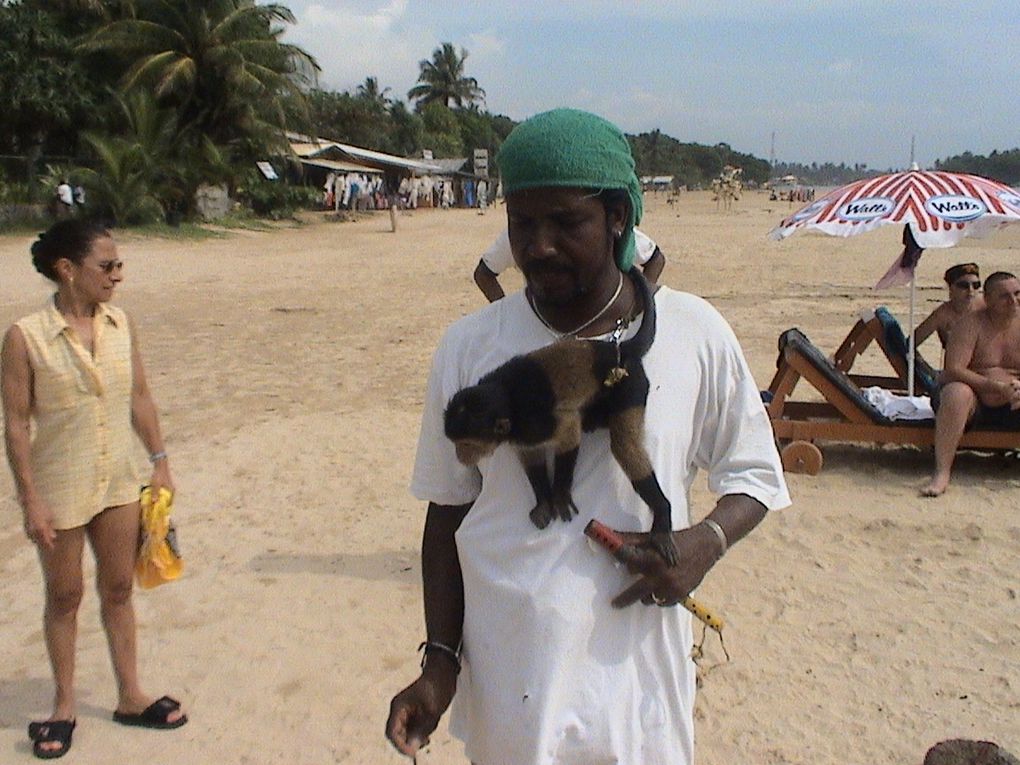 La faune du Sri Lanka