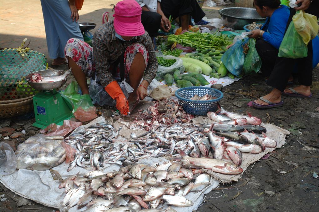 Album - Cambodge-janv-2012