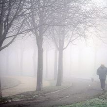 ¿Por qué se forma la niebla?